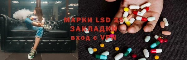 шишки Лагань