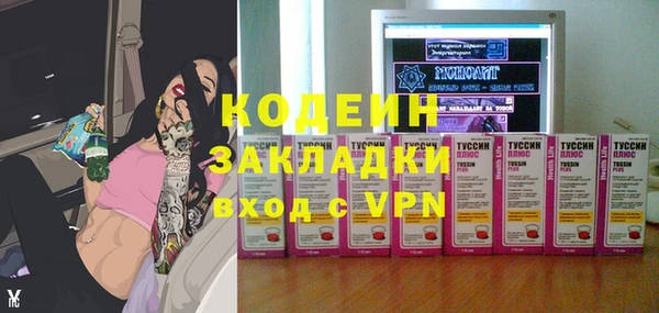 шишки Лагань
