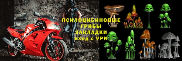 гидра Лиски