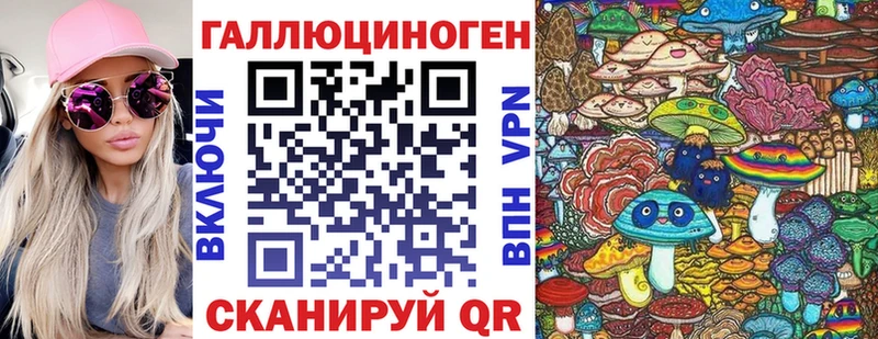 Псилоцибиновые грибы Psilocybe  Купить  Красноармейск 